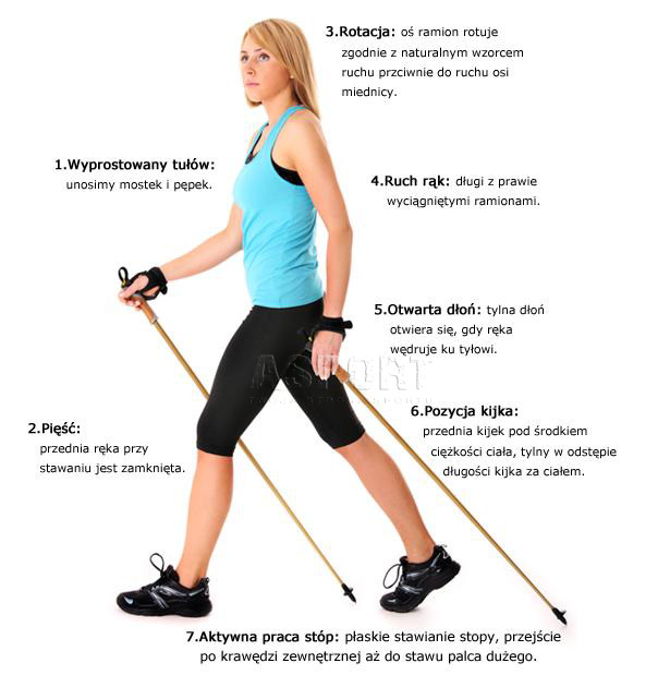   NORDIC WALKING - PRAWIDŁOWA TECHNIKA MARSZU...